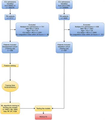 A Machine Learning Approach for the Prediction of Traumatic Brain Injury Induced Coagulopathy